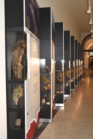 Přírodní vědy - úvod/ Naturwissenschaften - Anleitung