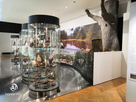 Přírodověda - voda/Naturkunde - Wasser